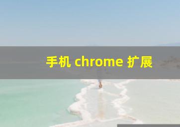 手机 chrome 扩展